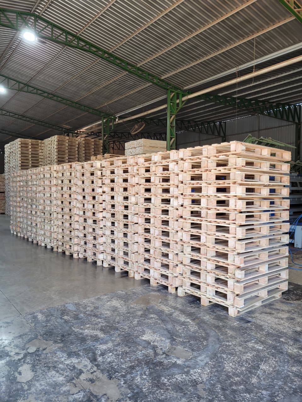Pallets de Madeira